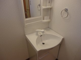 Washroom. Bathroom Vanity. 