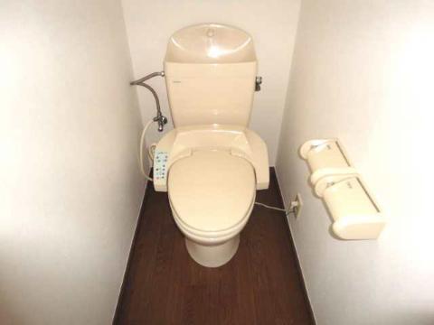 Toilet. WC