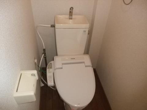 Toilet. WC