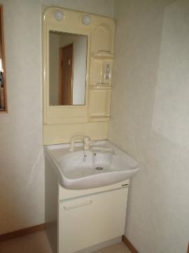 Washroom. Bathroom Vanity