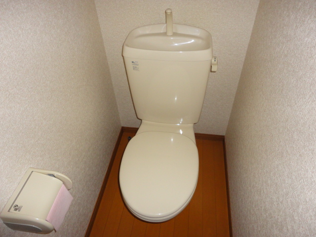 Toilet. Clean Western-style toilet. 