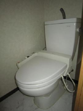 Toilet. Toilet with shower