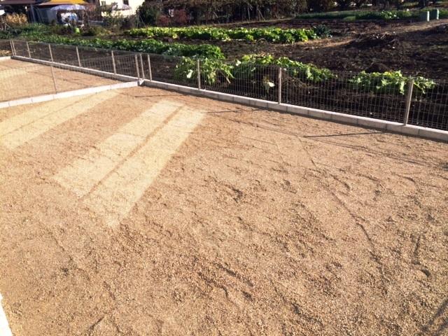 Garden. Local (12 May 2013) Shooting