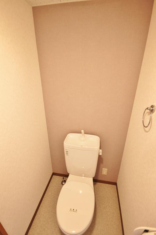 Toilet. Gray accents Cross