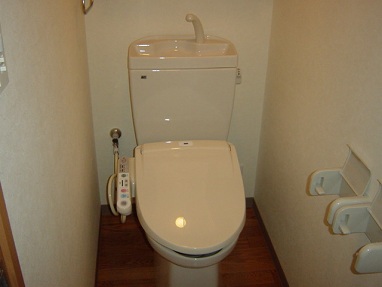 Toilet. WC