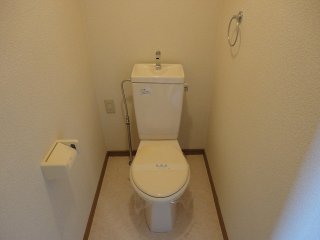 Toilet. Simple toilet