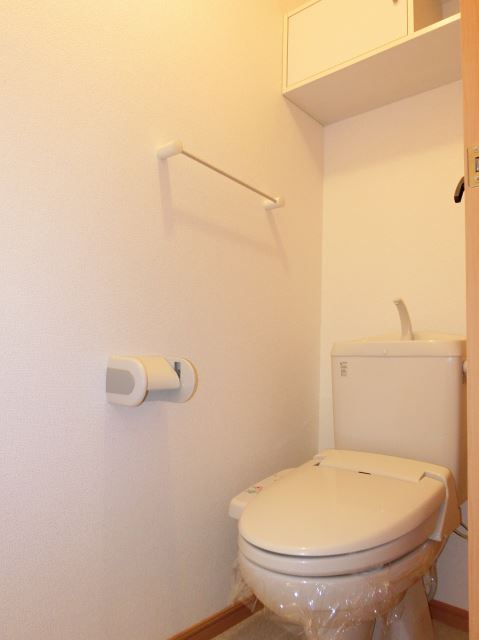 Toilet. Storage shelves with warm water cleaning toilet seat
