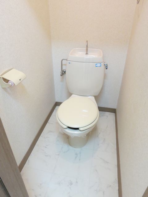 Toilet. Clean toilet space. 