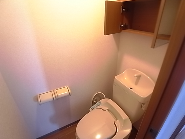Toilet. It comes with a shelf