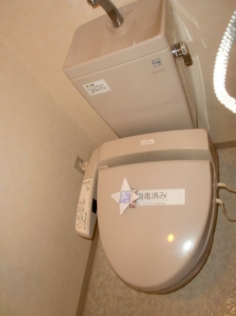 Toilet. It comes with a warm water washing toilet seat. 