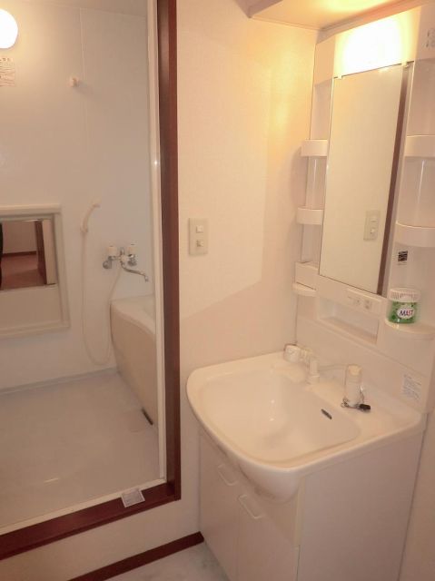 Washroom. Wash basin vanity with shower. 