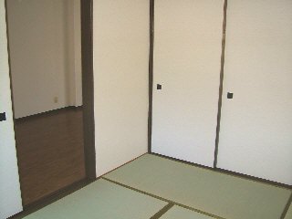 Other. Laid-back Japanese-style room
