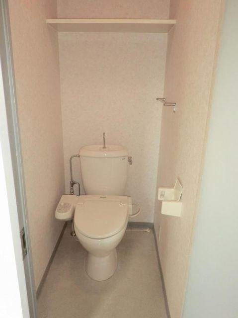 Toilet. Washlet with toilet. 