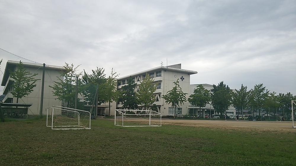 Junior high school. Genuine junior high school