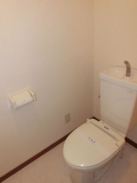 Toilet. Western-style toilets to settle