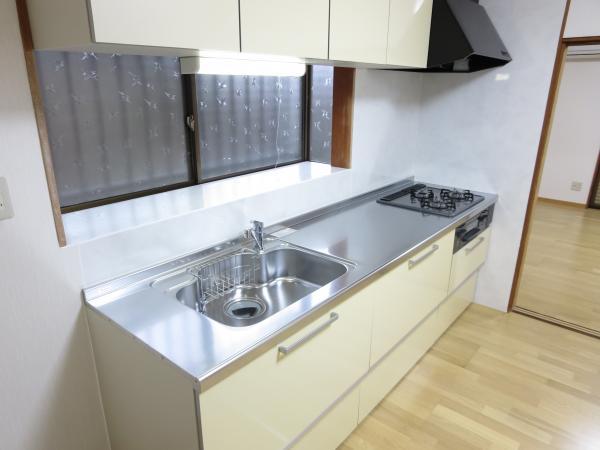 Kitchen. Stainless steel top of the kitchen