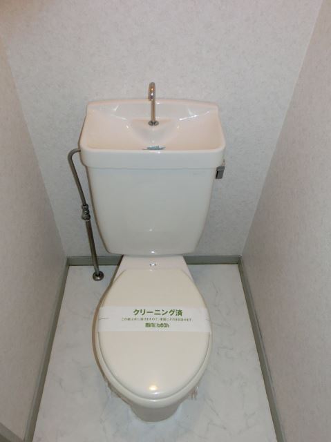Toilet. Beautiful toilet