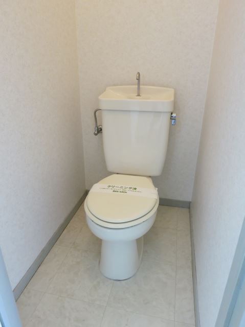 Toilet. Spacious toilet space. 