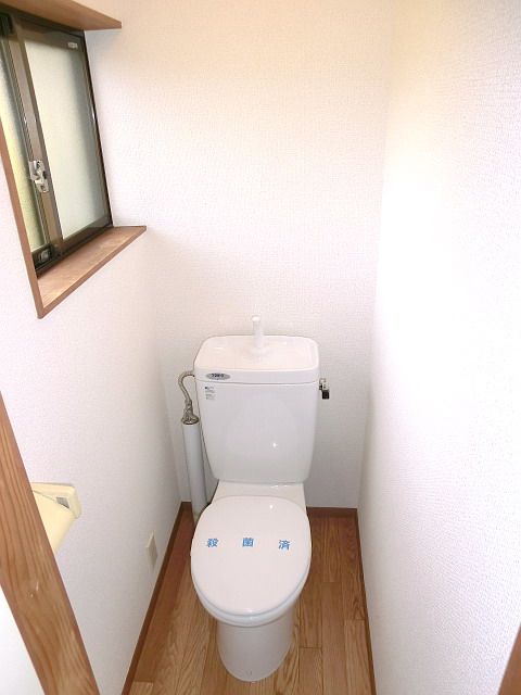 Toilet. Bright toilet with a window