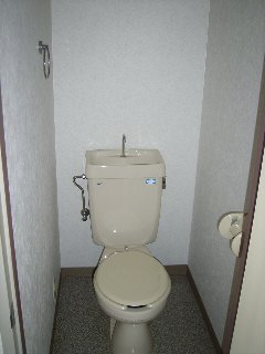 Toilet. Western style