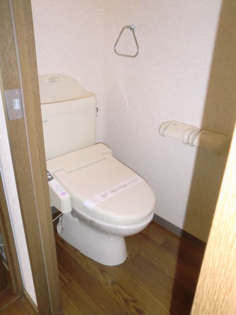 Toilet. Full of clean toilet