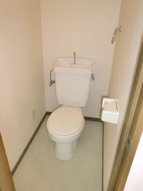 Toilet. Full of clean toilet. 