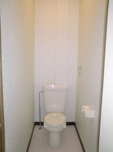 Toilet. Toilet with cleanliness