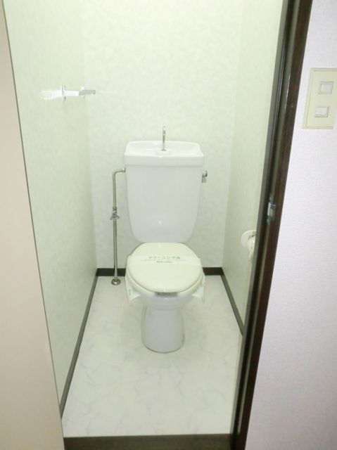 Toilet. Toilet with cleanliness