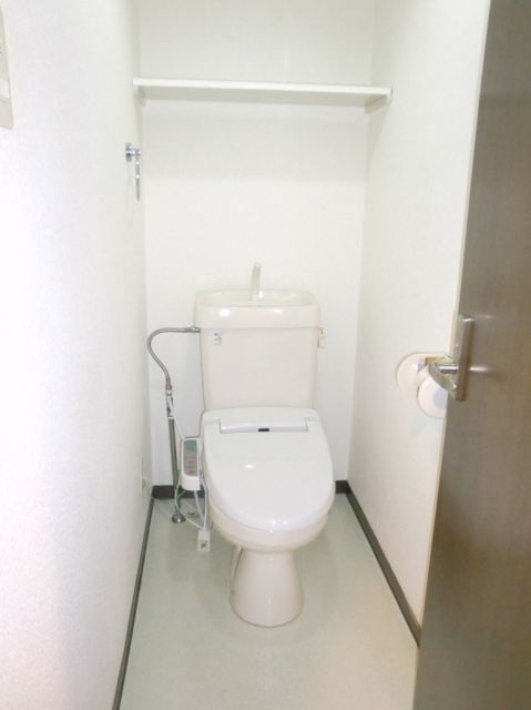 Toilet. Full of clean toilet