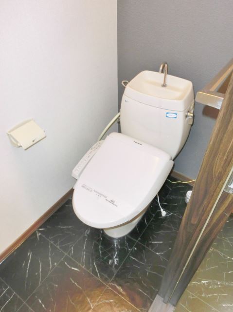 Toilet. It is with a comfortable warm water washing toilet seat. 