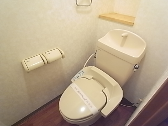 Toilet. Facilities popularity rise in ↑ warm water washing toilet seat