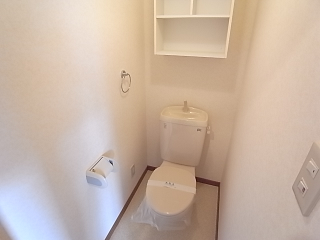 Toilet. Shelved in toilet! ! 