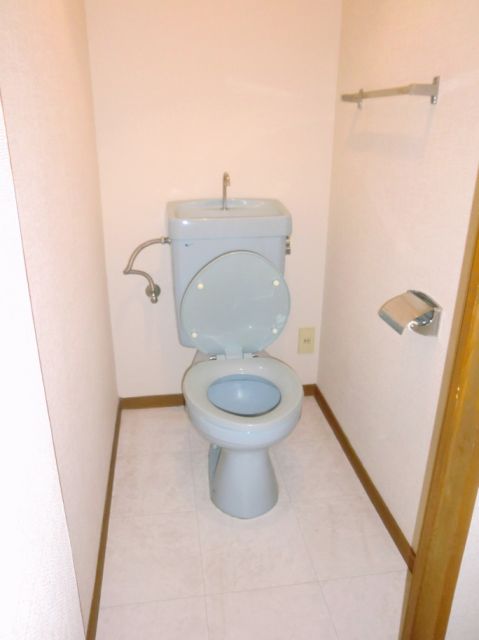 Toilet. Full of clean toilet