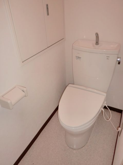 Toilet. Toilet with cleanliness. 