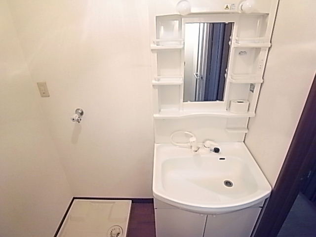 Washroom. Washbasin with in-room washing machine storage and shower. 