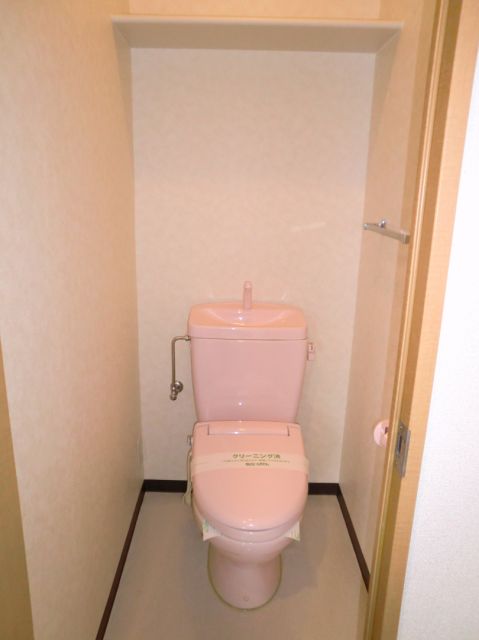 Toilet. Clean toilet. 