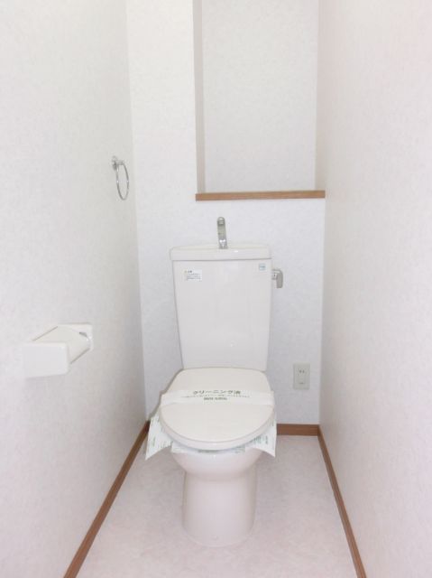 Toilet. Toilet floating cleanliness. 