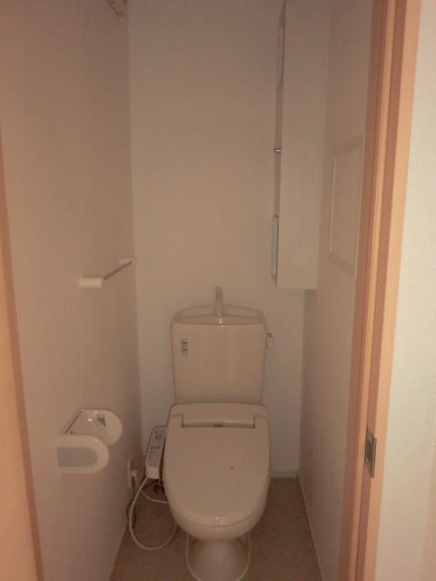 Toilet. It is a toilet with a clean. 