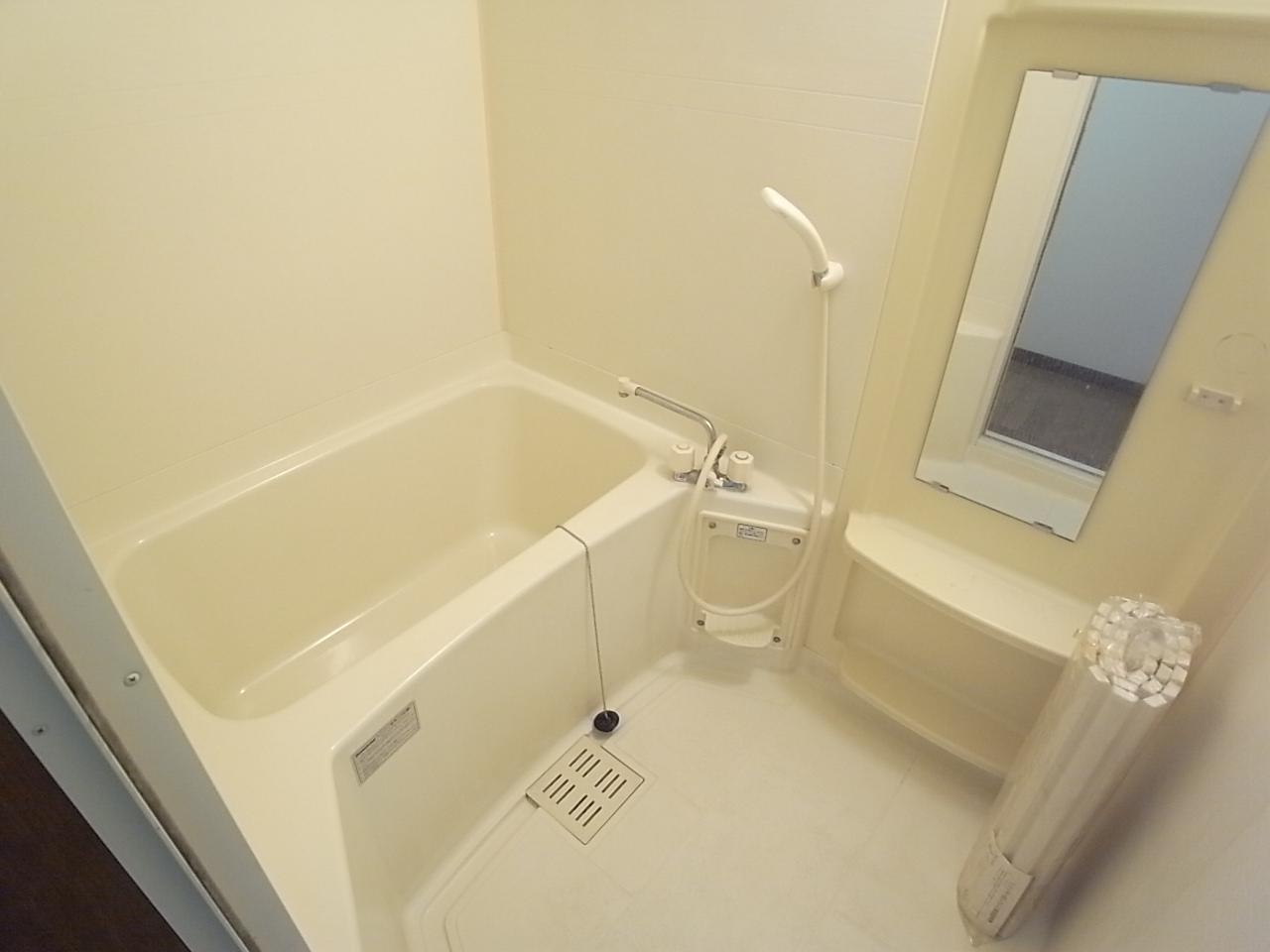 Bath. It is a convenient bathroom with a mirror