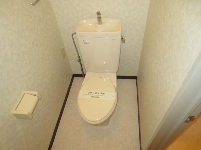 Toilet. Western water