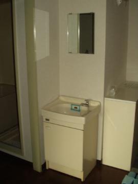 Washroom. Bathroom vanity