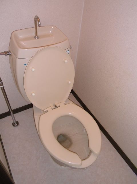 Toilet. WC with cleanliness