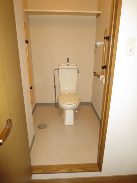 Toilet. Wide space