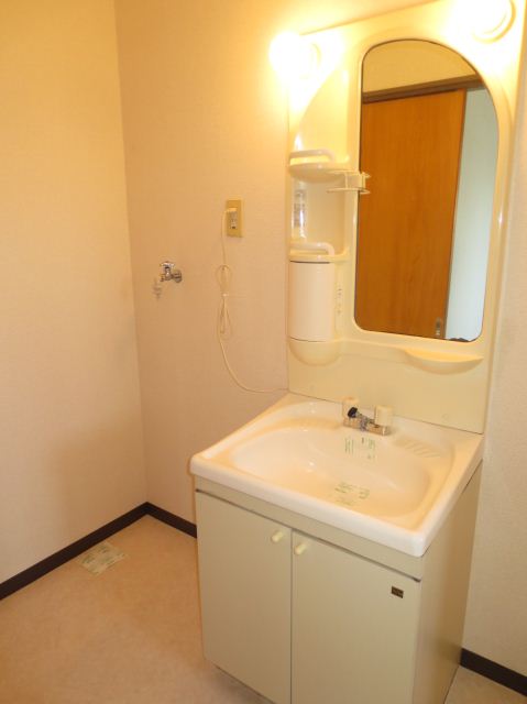 Washroom. Bathroom vanity, Laundry Area