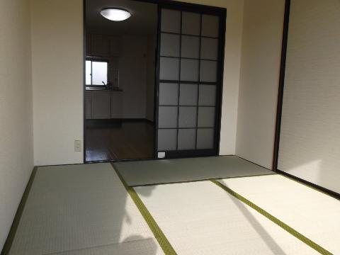 Living and room. Japanese style room