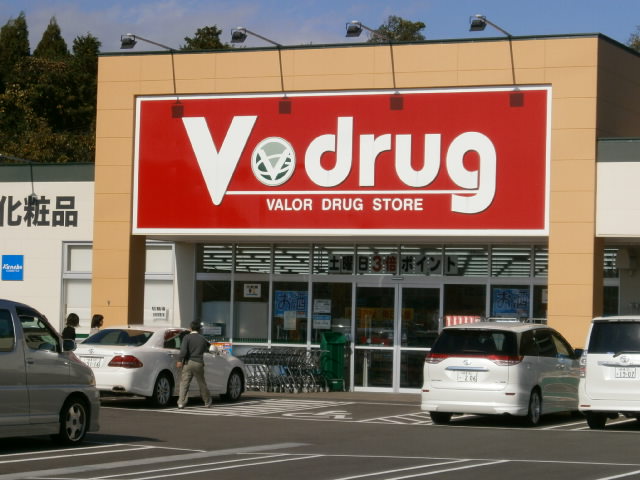 Dorakkusutoa. V ・ drug institutions central pharmacy 1621m until (drugstore)