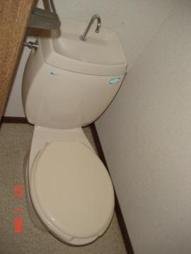 Toilet. WC