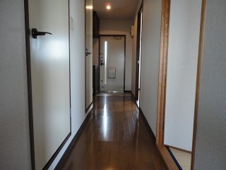 Entrance. Corridor flooring
