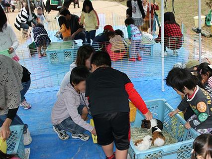 Children interact with the rabbit at ¥ move animals. It is gingerly reach state is heartwarming / Autumn Festival (2,011.10 May held)