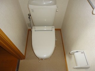 Toilet. It is a toilet with a heating toilet seat